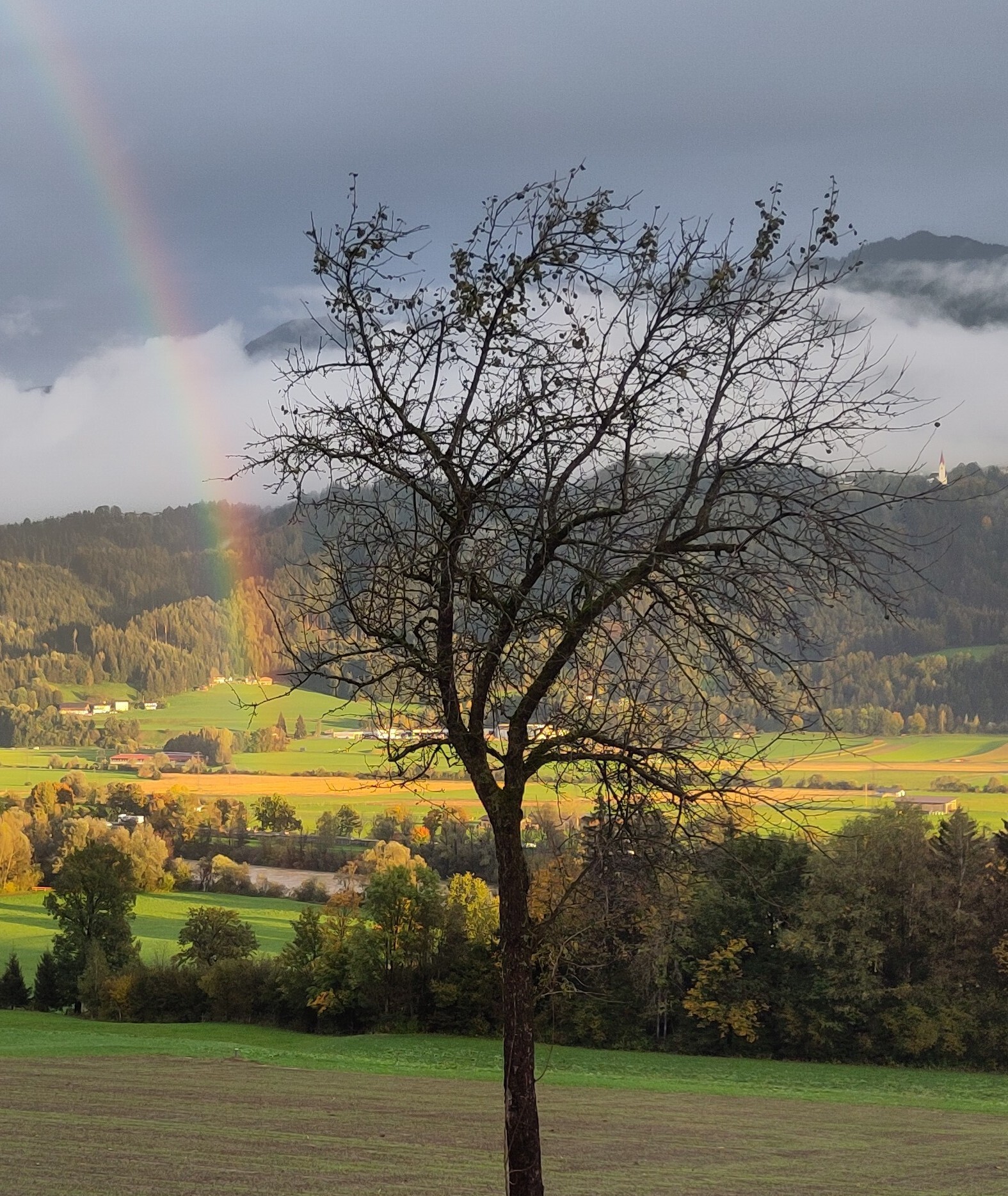Read more about the article Christoph (Tirol)