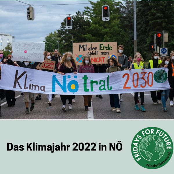 Klimastreik in St. Pölten